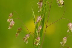 Foto2-