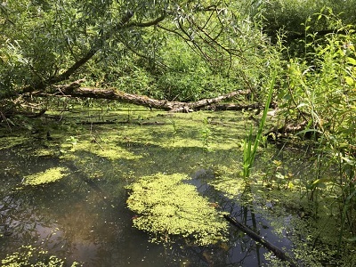 Wetland-Struintocht