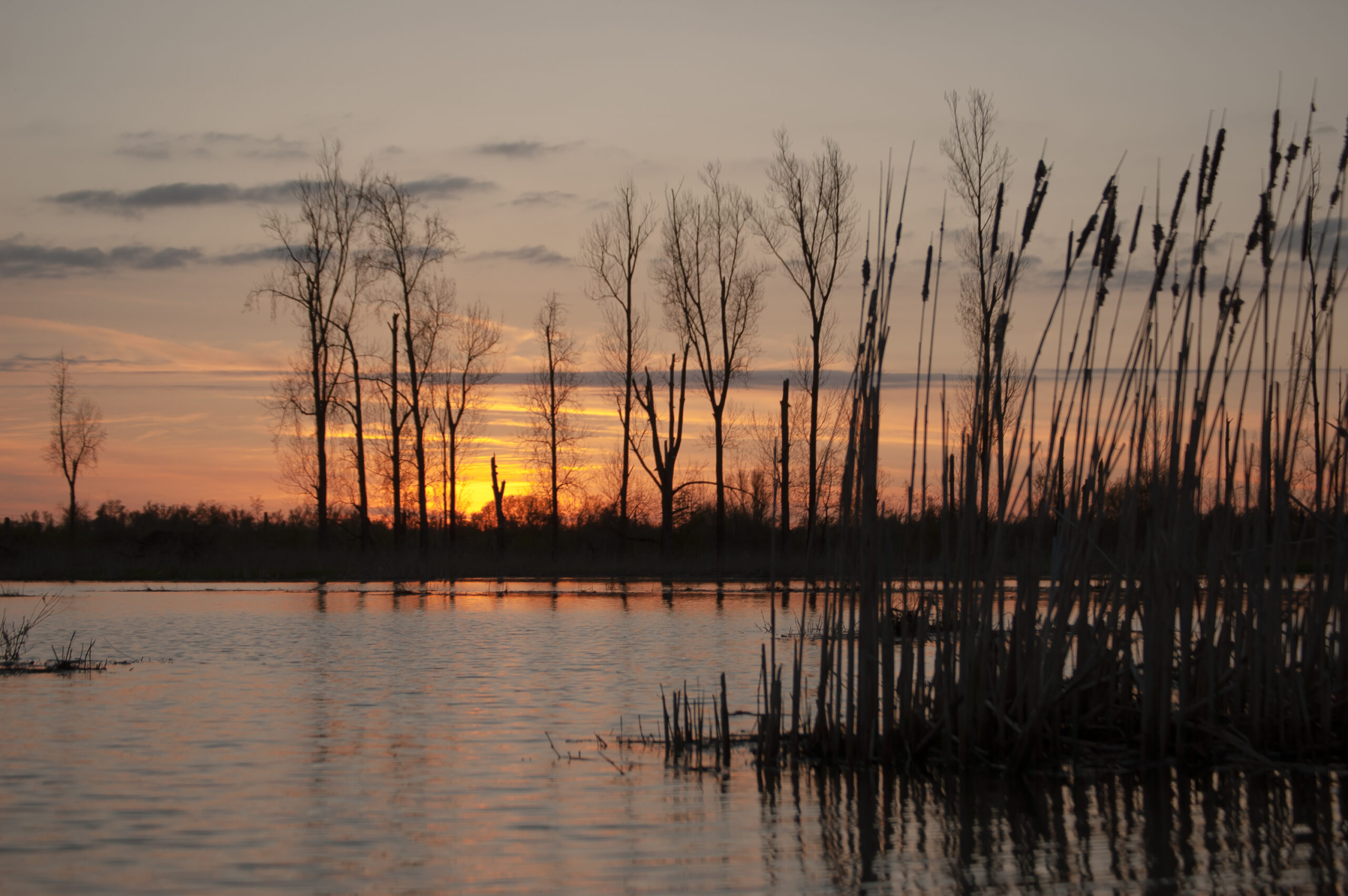 zonsondergang moldiep